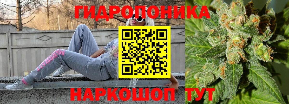 Конопля ГИДРОПОН  МАРИХУАНА сатива  Конопля Bruce Banner  Звенигород  Вход с VPN 